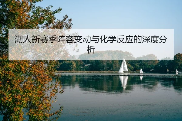 湖人新赛季阵容变动与化学反应的深度分析
